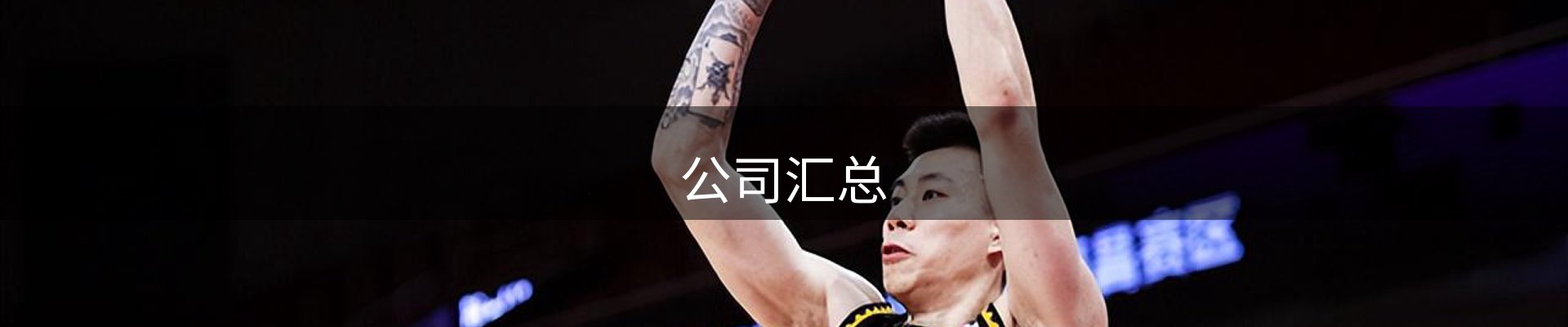 公司汇总